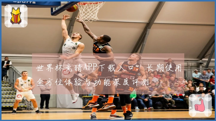 世界杯竞猜APP下载入口：长期使用全方位体验与功能深度评测