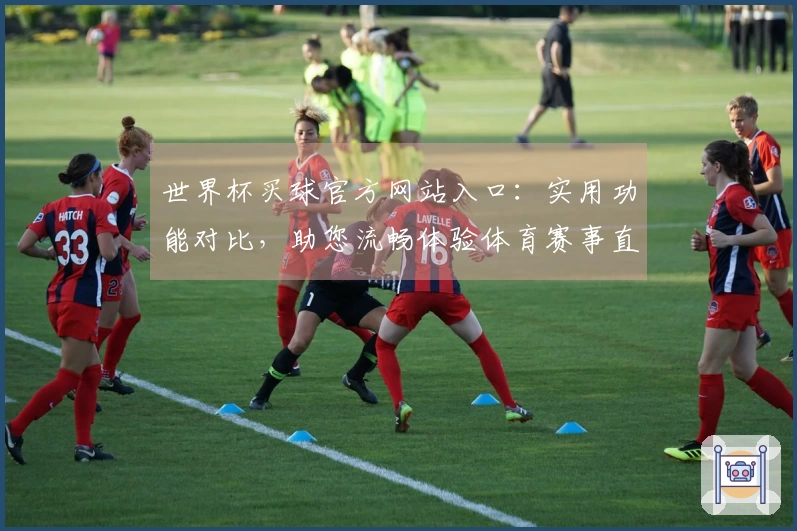世界杯买球官方网站入口：实用功能对比，助您流畅体验体育赛事直播
