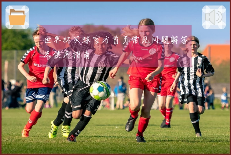 世界杯买球官方首页常见问题解答及使用指南